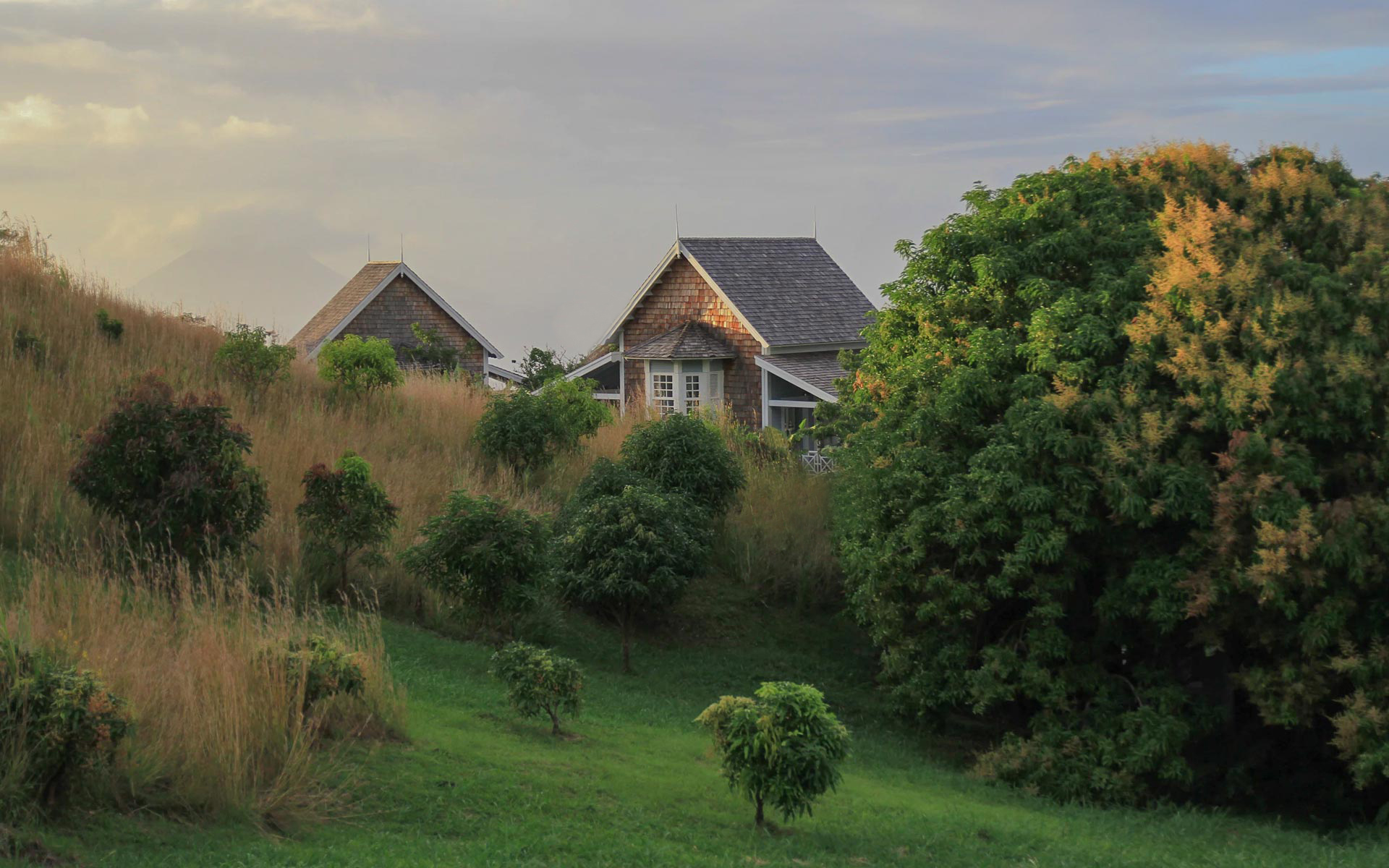 Lifestyle Home Management Property Management in The Hamptons